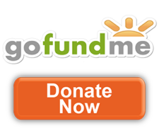 gofundme-donate-button.png